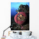 Three Pink Anemonefish Circular Wall Decal