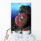 Three Pink Anemonefish Circular Wall Decal