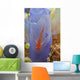 Red Goby with Clutch Wall Decal