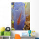 Red Goby with Clutch Wall Decal