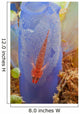 Red Goby with Clutch Wall Decal