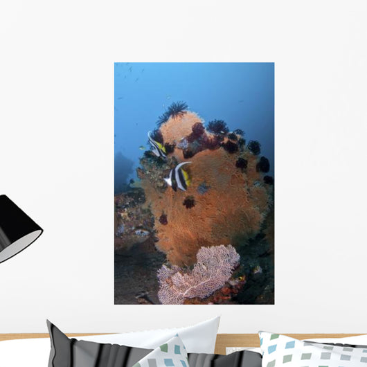 Bannerfish Brown Sea Fan Wall Decal