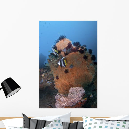 Bannerfish Brown Sea Fan Wall Decal