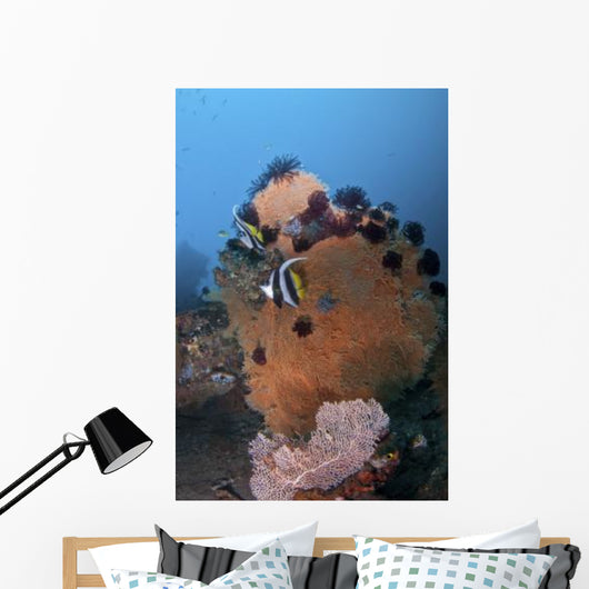 Bannerfish Brown Sea Fan Wall Decal