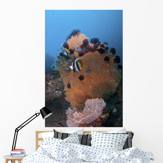 Bannerfish Brown Sea Fan Wall Decal