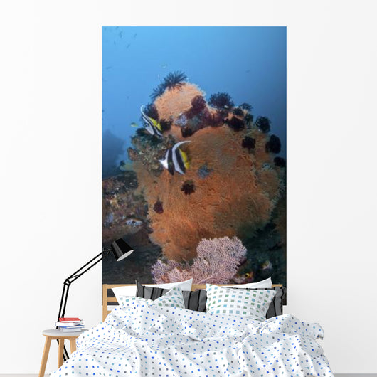 Bannerfish Brown Sea Fan Wall Decal