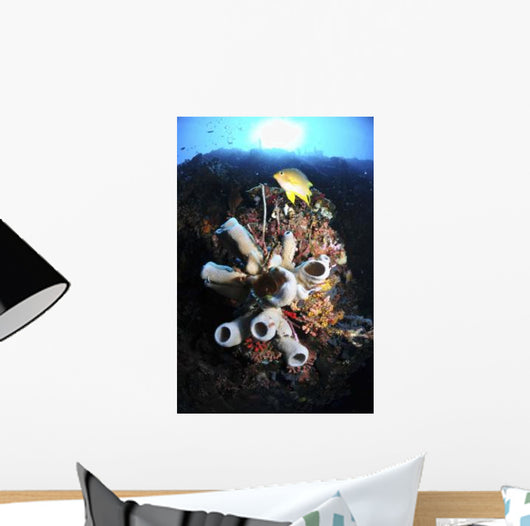 Colorful Reef with Grey Wall Decal