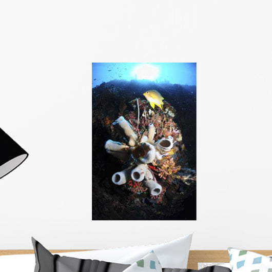 Colorful Reef with Grey Wall Decal
