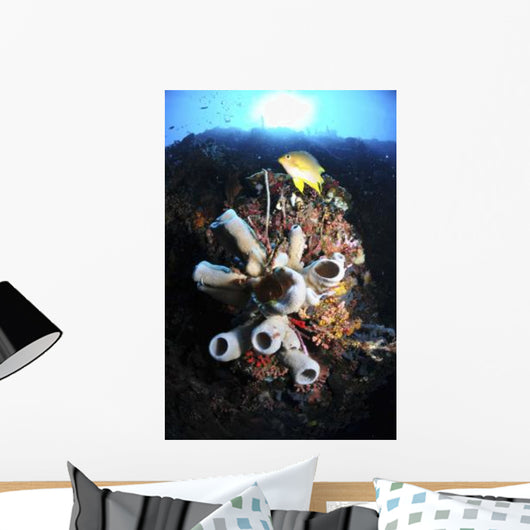 Colorful Reef with Grey Wall Decal