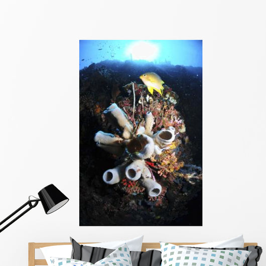 Colorful Reef with Grey Wall Decal