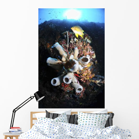 Colorful Reef with Grey Wall Decal