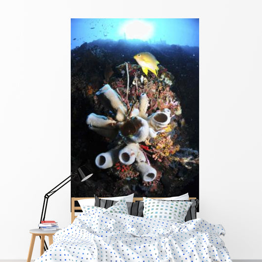 Colorful Reef with Grey Wall Decal