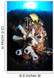 Colorful Reef with Grey Wall Decal