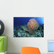 Green Sea Turtle near Wall Decal