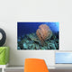Green Sea Turtle near Wall Decal