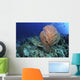 Green Sea Turtle near Wall Decal