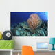 Green Sea Turtle near Wall Decal