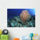 Green Sea Turtle near Wall Decal
