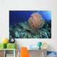 Green Sea Turtle near Wall Decal