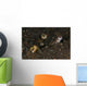 Goby with Commensal Blind Wall Decal Design 1