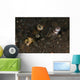 Goby with Commensal Blind Wall Decal Design 1