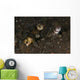 Goby with Commensal Blind Wall Decal Design 1