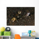 Goby with Commensal Blind Wall Decal Design 1