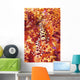 Pair Coleman Shrimp Red Wall Decal