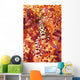 Pair Coleman Shrimp Red Wall Decal