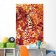 Pair Coleman Shrimp Red Wall Decal