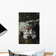 Blue Spotted Harlequin Shrimp Wall Decal