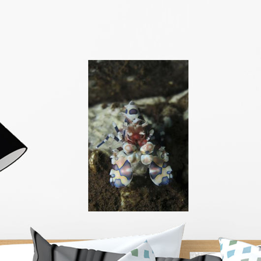 Blue Spotted Harlequin Shrimp Wall Decal