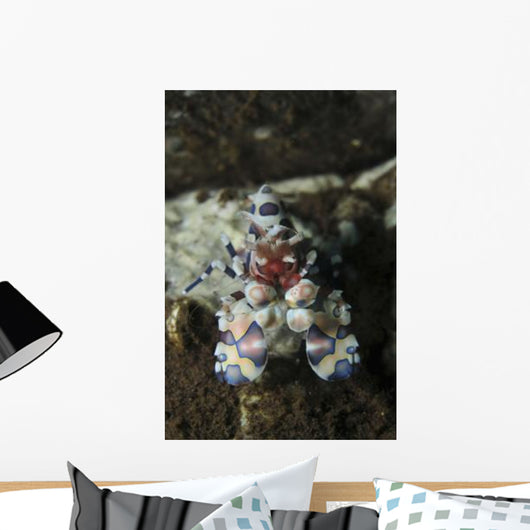 Blue Spotted Harlequin Shrimp Wall Decal