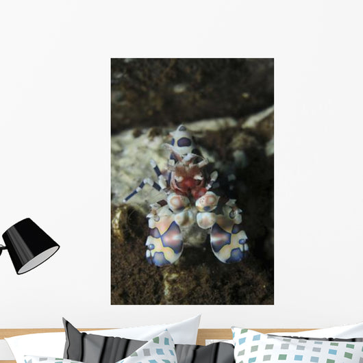 Blue Spotted Harlequin Shrimp Wall Decal