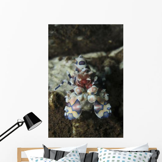 Blue Spotted Harlequin Shrimp Wall Decal