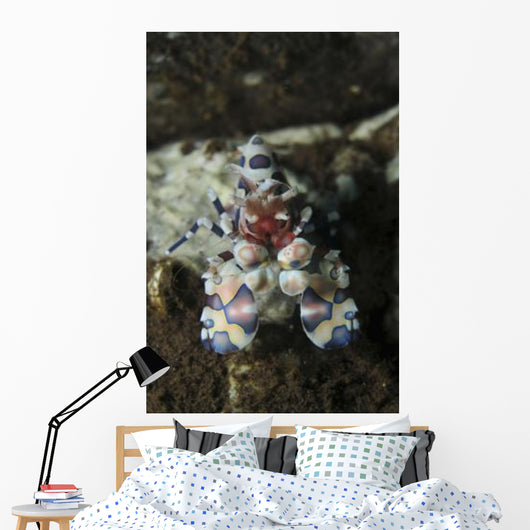 Blue Spotted Harlequin Shrimp Wall Decal