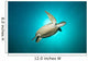 Green Turtle Swimming with Wall Decal
