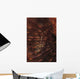 Transparent Shrimp Brown Feather Wall Decal