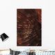 Transparent Shrimp Brown Feather Wall Decal