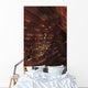 Transparent Shrimp Brown Feather Wall Decal