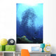 Divers Photographing School Trevally Wall Decal Design 2