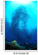 Divers Photographing School Trevally Wall Decal Design 2