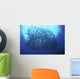 Divers Photographing School Trevally Wall Decal Design 1