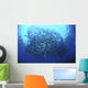 Divers Photographing School Trevally Wall Decal Design 1