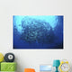 Divers Photographing School Trevally Wall Decal Design 1