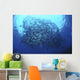 Divers Photographing School Trevally Wall Decal Design 1