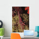 Red and White Hinge-beak Wall Decal