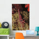 Red and White Hinge-beak Wall Decal