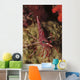 Red and White Hinge-beak Wall Decal