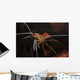 Orange White and Red Wall Decal